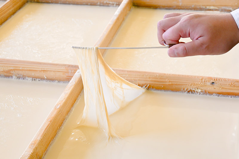 町田屋 生ゆば・創作豆腐5種＋湯葉抄い体験チケット2名様分セット