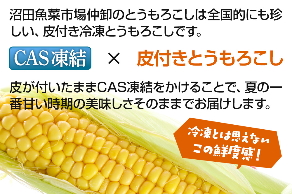 CAS印 利根沼田産 皮付き とうもろこし 10本 株式会社沼田魚菜市場仲卸