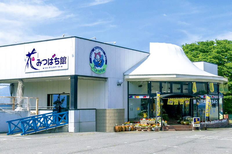 スーパーハニーミックス4（はちみつ、ローヤルゼリー、花粉荷、プロポリス）400g 花みつばち館