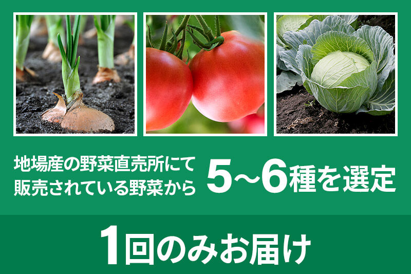 季節のお野菜 おまかせセット A（5～6種類）詰め合わせ [【野菜セット】お任せ おまかせ 野菜 やさい ヤサイ 詰め合わせ セット]
