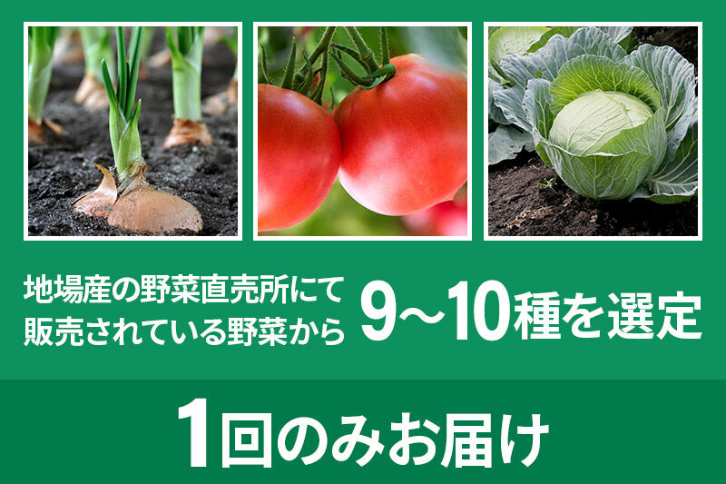 季節のお野菜 おまかせセット B（9～10種類）詰め合わせ [【野菜セット】お任せ おまかせ 野菜 やさい ヤサイ 詰め合わせ セット]