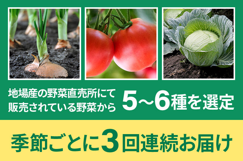 季節のお野菜 おまかせセット 季節ごとの3回お届け 定期便（1回あたり5～6種類）詰め合わせ [【野菜の定期便】お任せ おまかせ 野菜 やさい ヤサイ 詰め合わせ セット]