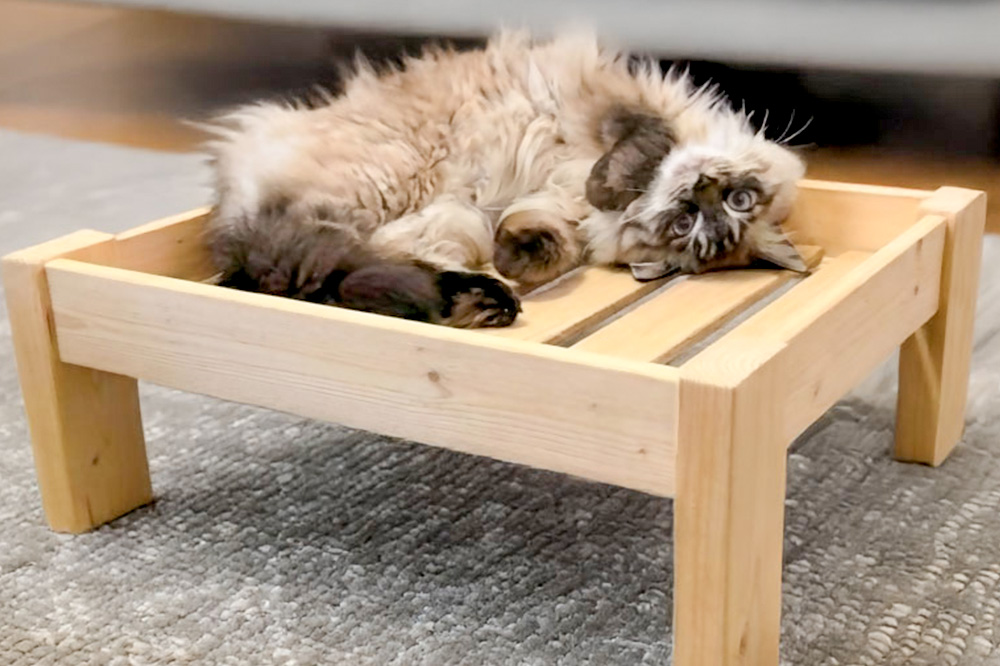 《お申し込み後に生産》ペット用ベッド（小型ペット用） 組立完成品 天然木SPF素材 犬 猫 寝具 ペット用品置き場