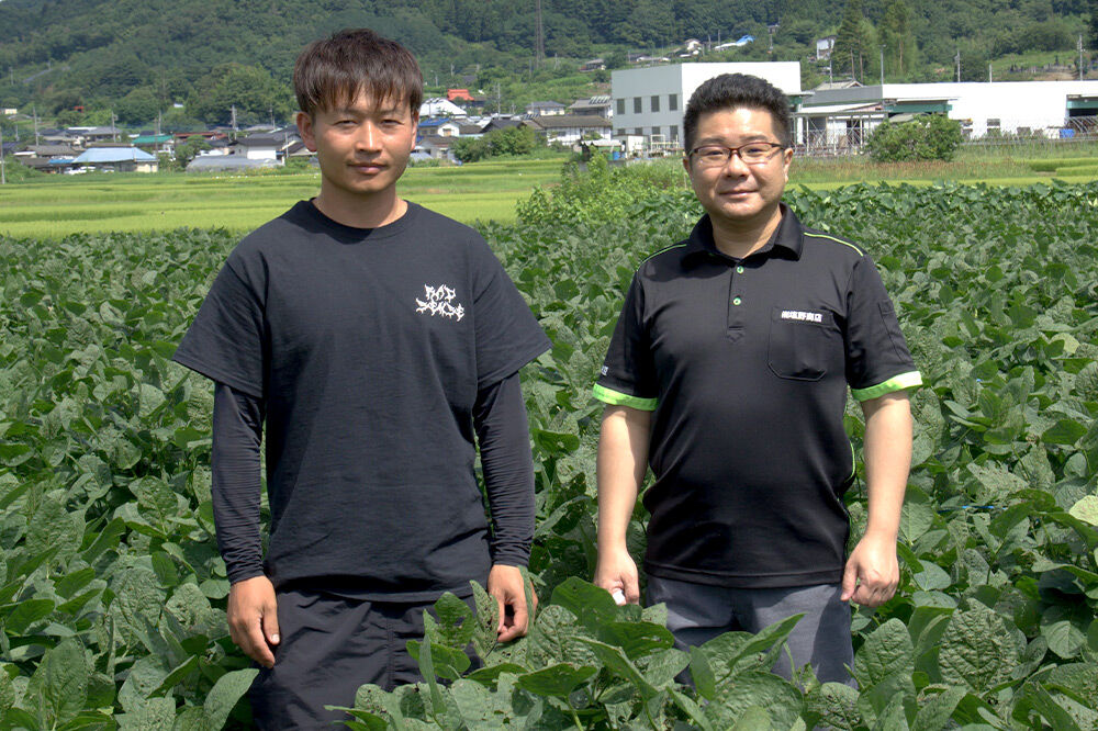 厳選 天狗印枝豆「味緑（みりょく）」約2.5kg [枝豆 えだまめ エダマメ 茶豆 えだ豆 エダ豆]