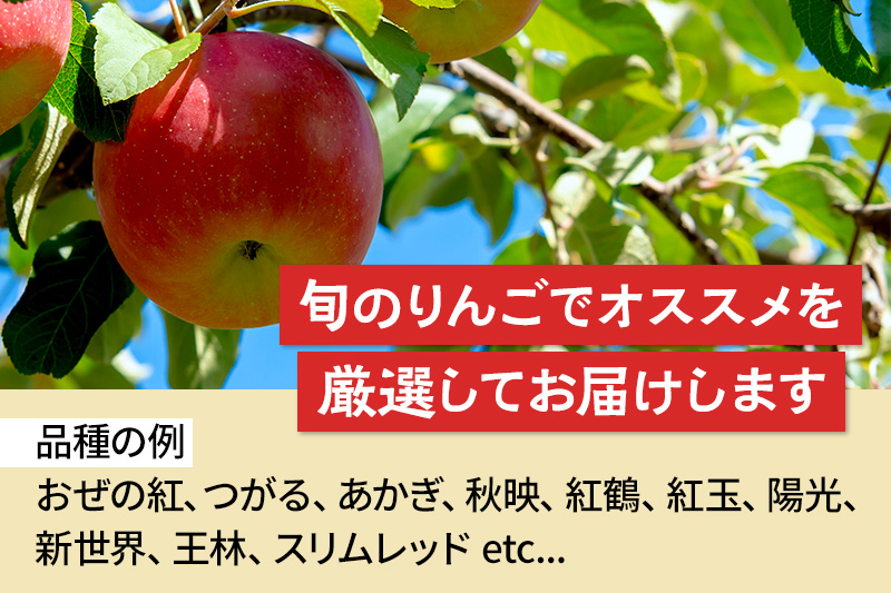 《10月中旬～11月下旬発送》品種おまかせ りんご詰め合わせ 3種 5kg 真田りんご園