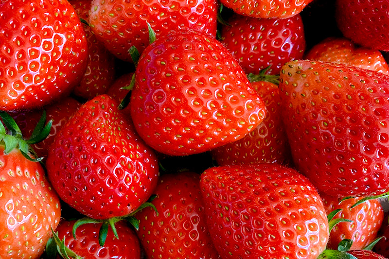 《2026年1月上旬～2月上旬発送》じゅわっと甘い！サイズいろいろ「やよいひめ」約900g（1箱／梱包込）山口いちご園 苺 イチゴ いちご