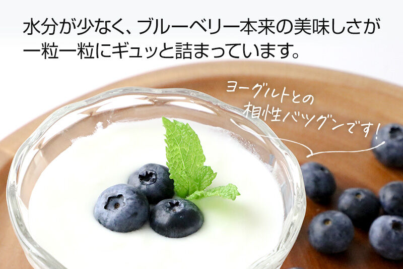 《7月中旬～8月中旬発送》完全無農薬栽培 ブルーベリー 約350g×3個 ベリーガーデン