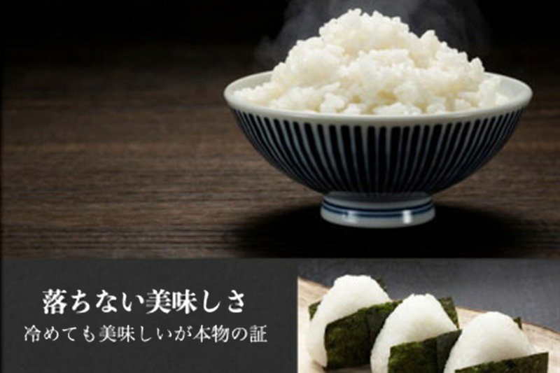 令和7年産 沼田のこしひかり「みずのながれ」お試し六合 900g 群馬県沼田市産 精米 白米 コシヒカリ