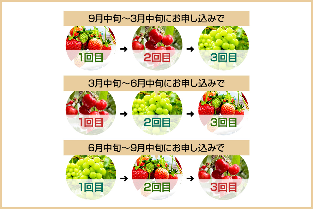《一部地域限定配送》3回お届け！原田農園のフルーツ定期便 いちご→さくらんぼ→シャインマスカット