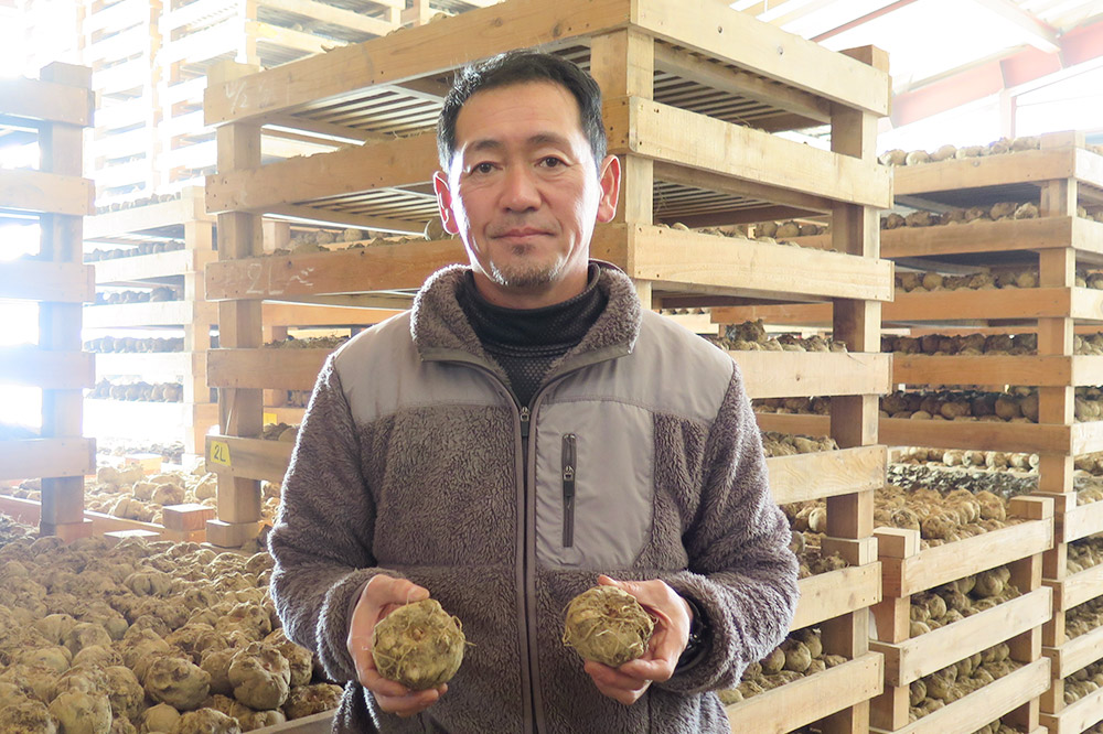 群馬のこんにゃく農家がお届けする人気7点セット