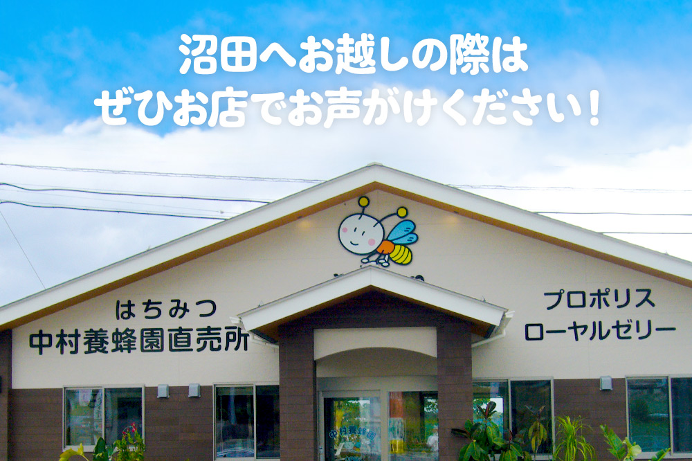 尾瀬のとち蜜＆沼田市産アカシア蜜 詰め合わせ500g×各1本 計1kg 中村養蜂園