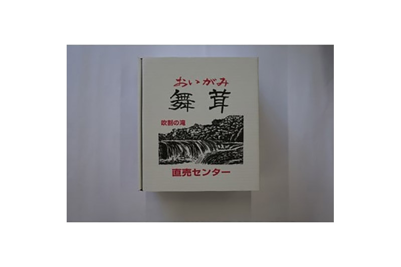 《2026年1月発送》生まいたけ（白・黒）各約300g＋乾燥まいたけ25g×2個セット 詰め合わせ おいがみ舞茸園