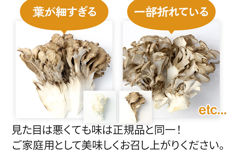 【訳あり】おいがみ舞茸園 生まいたけ詰め合わせ