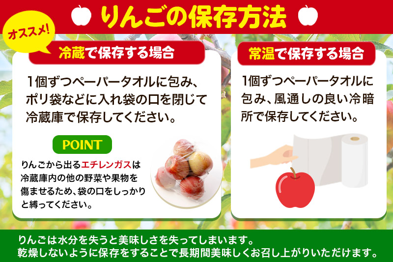 《10月中旬～11月下旬発送》品種おまかせ りんご詰め合わせ 3種 5kg 真田りんご園