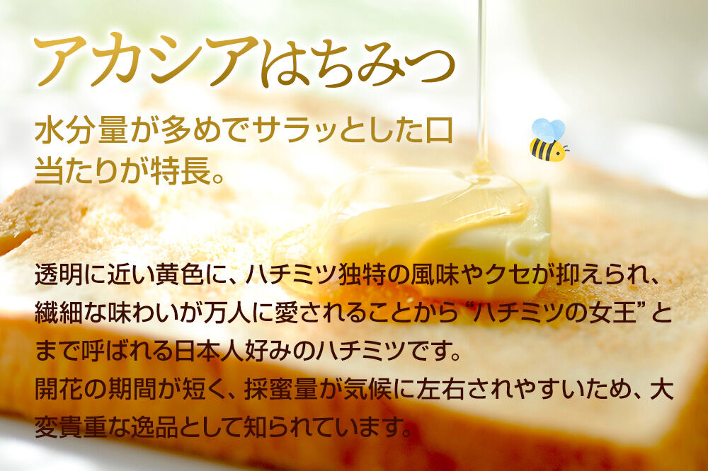 奥利根坂井のアカシアはちみつ 250g×1本 坂井養蜂場 [蜂蜜 はちみつ ハチミツ 国産 アカシア アカシヤ]
