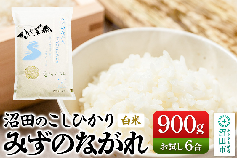 令和7年産 沼田のこしひかり「みずのながれ」お試し六合 900g 群馬県沼田市産 精米 白米 コシヒカリ