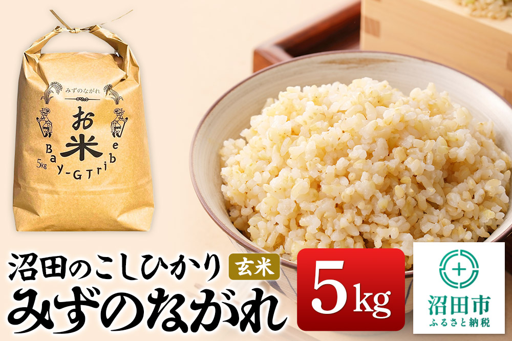 令和7年産 沼田のこしひかり「みずのながれ」群馬県沼田市産 玄米 5kg コシヒカリ