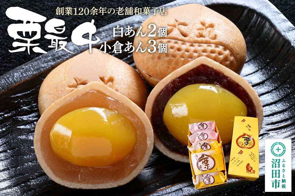 栗最中 2種 計5個 詰め合わせセット（白餡2個、小倉餡3個）大丸屋製菓