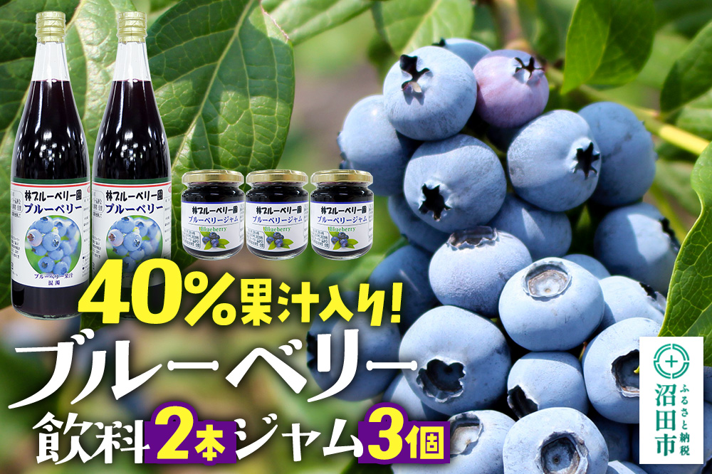 40％果汁入り ブルーベリー飲料2本・ブルーベリージャム3個セット