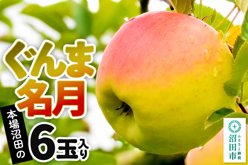 《2026年11月下旬～12月中旬発送》先行予約 果実の里 原田農園 ぐんま名月 1箱 6玉入り