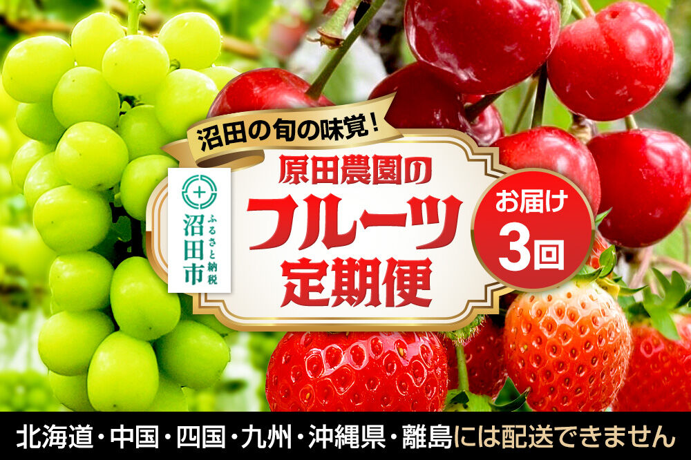 《一部地域限定配送》3回お届け！原田農園のフルーツ定期便 いちご→さくらんぼ→シャインマスカット [苺 いちご イチゴ さくらんぼ サクランボ しゃいんますかっと シャインマスカット]