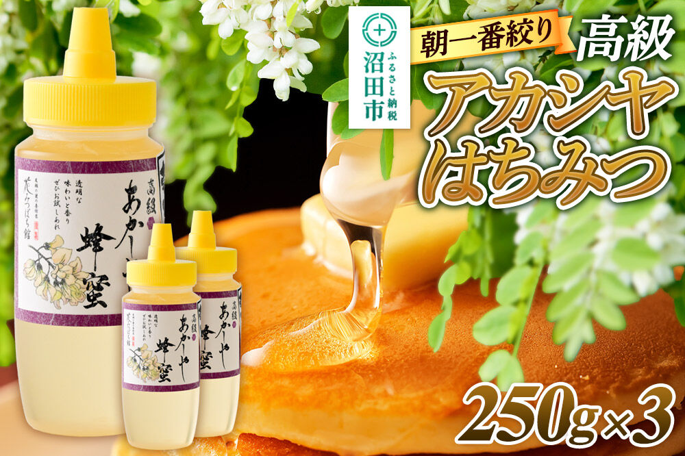 朝一番搾り！ 高級アカシヤはちみつ 250g×3本 花みつばち館 [蜂蜜 はちみつ ハチミツ 国産 高級]