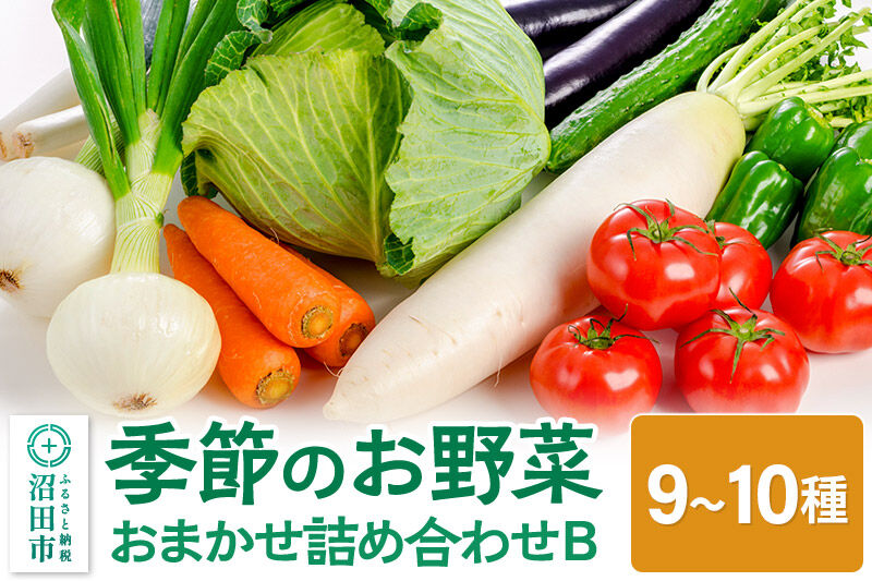 季節のお野菜 おまかせセット B（9～10種類）詰め合わせ [【野菜セット】お任せ おまかせ 野菜 やさい ヤサイ 詰め合わせ セット]