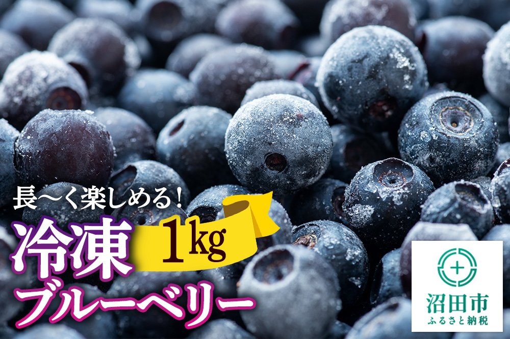 冷凍ブルーベリー1kg【群馬県沼田市利根町産】
