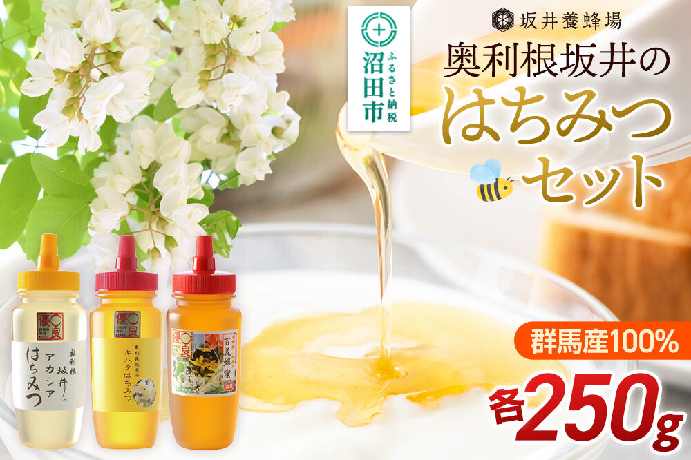 奥利根坂井のはちみつセット（アカシア・百花・キハダ）各250g 坂井養蜂場
