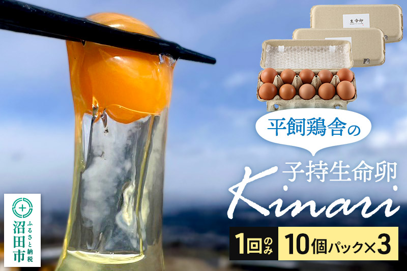 子持生命卵 Kinari（有精卵30個）10個パック×3つセット 自然の恵みファームズ: 沼田市ANAのふるさと納税