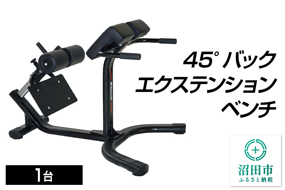 SS-G 45°バックエクステンションベンチ BN531000 トレーニング器具 筋トレ ホームジム ウエイト 株式会社セノテック