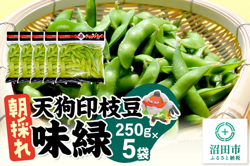 厳選 天狗印枝豆「味緑（みりょく）」約1.25kg [枝豆 えだまめ エダマメ 茶豆 えだ豆 エダ豆]