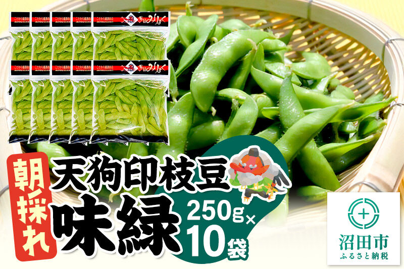 厳選 天狗印枝豆「味緑（みりょく）」約2.5kg [枝豆 えだまめ エダマメ 茶豆 えだ豆 エダ豆]