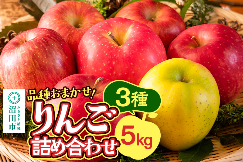 《10月中旬～11月下旬発送》品種おまかせ りんご詰め合わせ 3種 5kg 真田りんご園