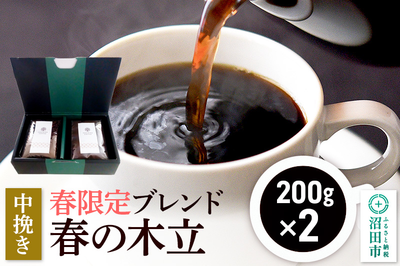 春季限定 ブレンドコーヒー 中挽き「春の木立」200g×2袋