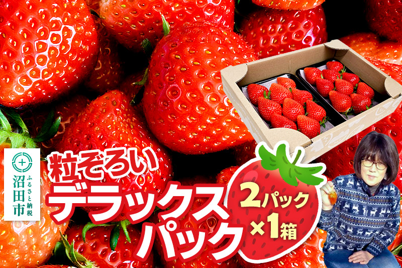 《2026年1月上旬～2月上旬発送》粒ぞろい「やよいひめ」デラックスパック 1箱2パック入り（280g×2）山口いちご園 苺 イチゴ いちご