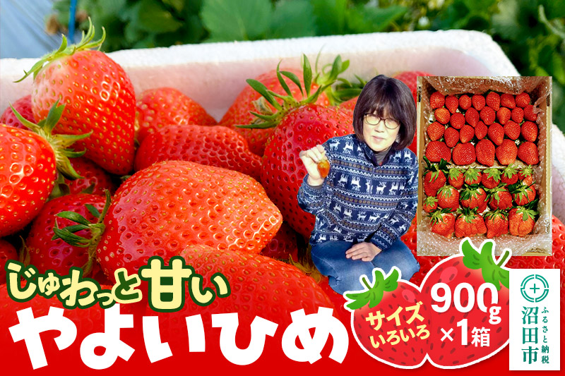 《2026年1月上旬～2月上旬発送》じゅわっと甘い！サイズいろいろ「やよいひめ」約900g（1箱／梱包込）山口いちご園 苺 イチゴ いちご