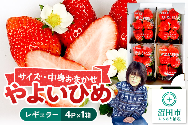 《2026年1月上旬～2月上旬発送》中身おまかせ「やよいひめ」レギュラーパック 250g 4パック×1箱 山口いちご園 苺 イチゴ いちご