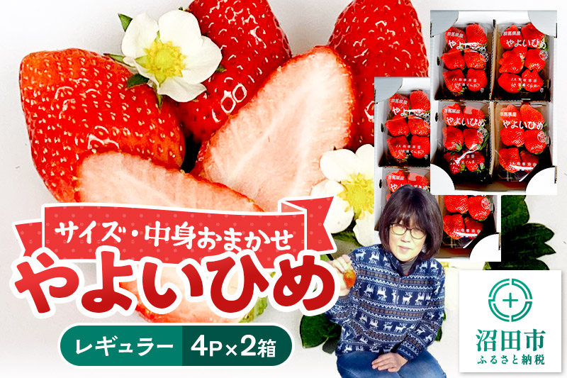 《2026年1月上旬～2月上旬発送》中身おまかせ「やよいひめ」レギュラーパック 250g 4パック×2箱 山口いちご園 苺 イチゴ いちご