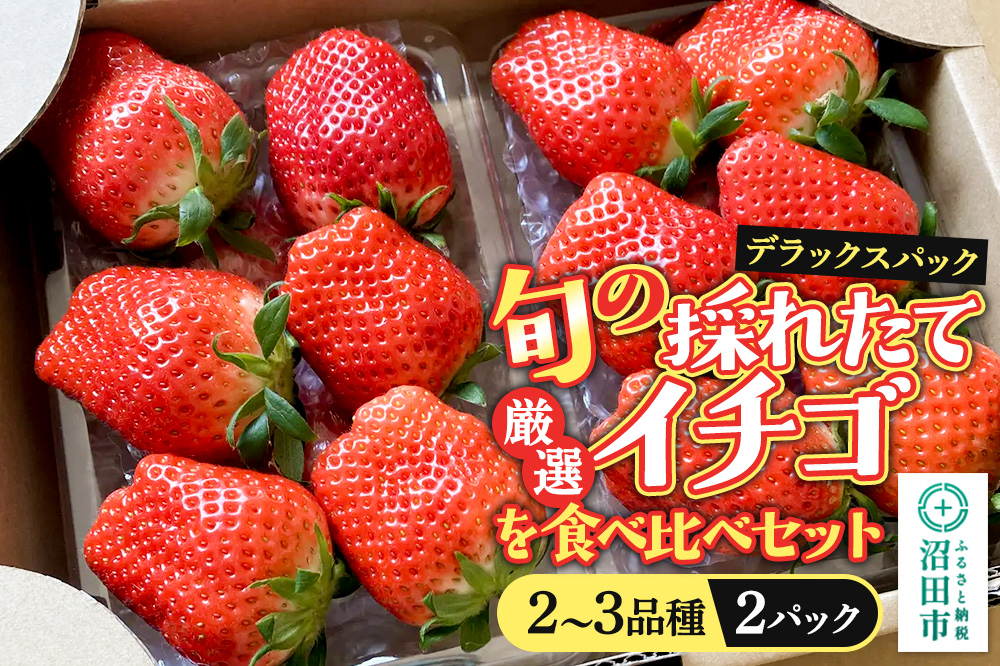 《2026年1月上旬～2月上旬発送》旬の採れたて厳選イチゴを食べ比べ！《2～3品種》デラックスパック 2パック×1箱 詰め合わせセット（サイズ・品種おまかせ）