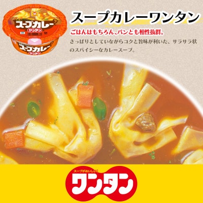 スープカレー　ワンタン　12食