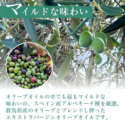 クラフトオリーブオイル　9種(100ml×各1本)セット