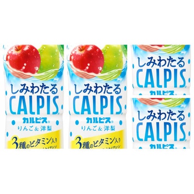 「しみわたるカルピス(R) りんご＆洋梨」PET 490ml×24本