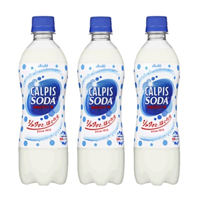 【2ヵ月毎定期便】『カルピスソーダ』PET500ml　24本　隔月全6回