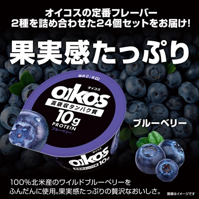 ダノン オイコス 脂肪0 2種詰め合わせセット(ブルーベリー12個・ストロベリー12個)【配送不可地域：離島・沖縄県】