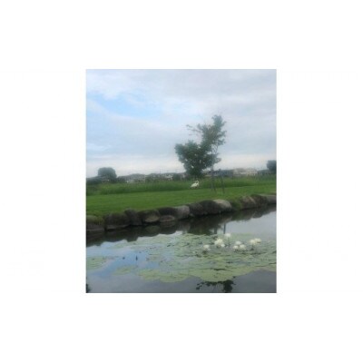 Yoga Studio Cocoro Shantiの里沼de ヨーガセラピー体験チケット