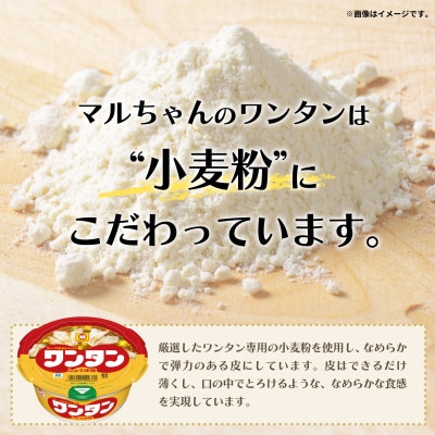 ワンタン　たまごスープ味　12食