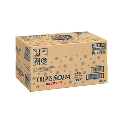 【2ヵ月毎定期便】『カルピスソーダ』PET500ml　24本　隔月全6回