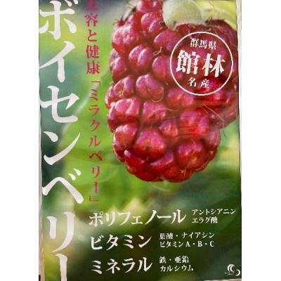 ボイセンベリードリンク 2本セット