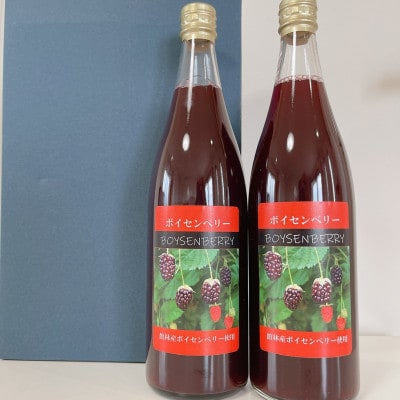 ボイセンベリードリンク 2本セット